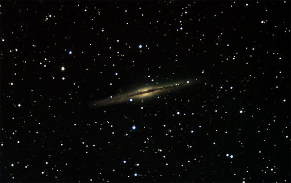 NGC 891
[url=http://www.seds.org/messier/xtra/ngc/n0891.html]NGC 891[/url], edgo-on spiral galaxy in Andromeda,  December 18, 2004
 MaximDl, CCDSharp, LRGB combined in MaximDL, gradient removal and final touch up in Photoshop
