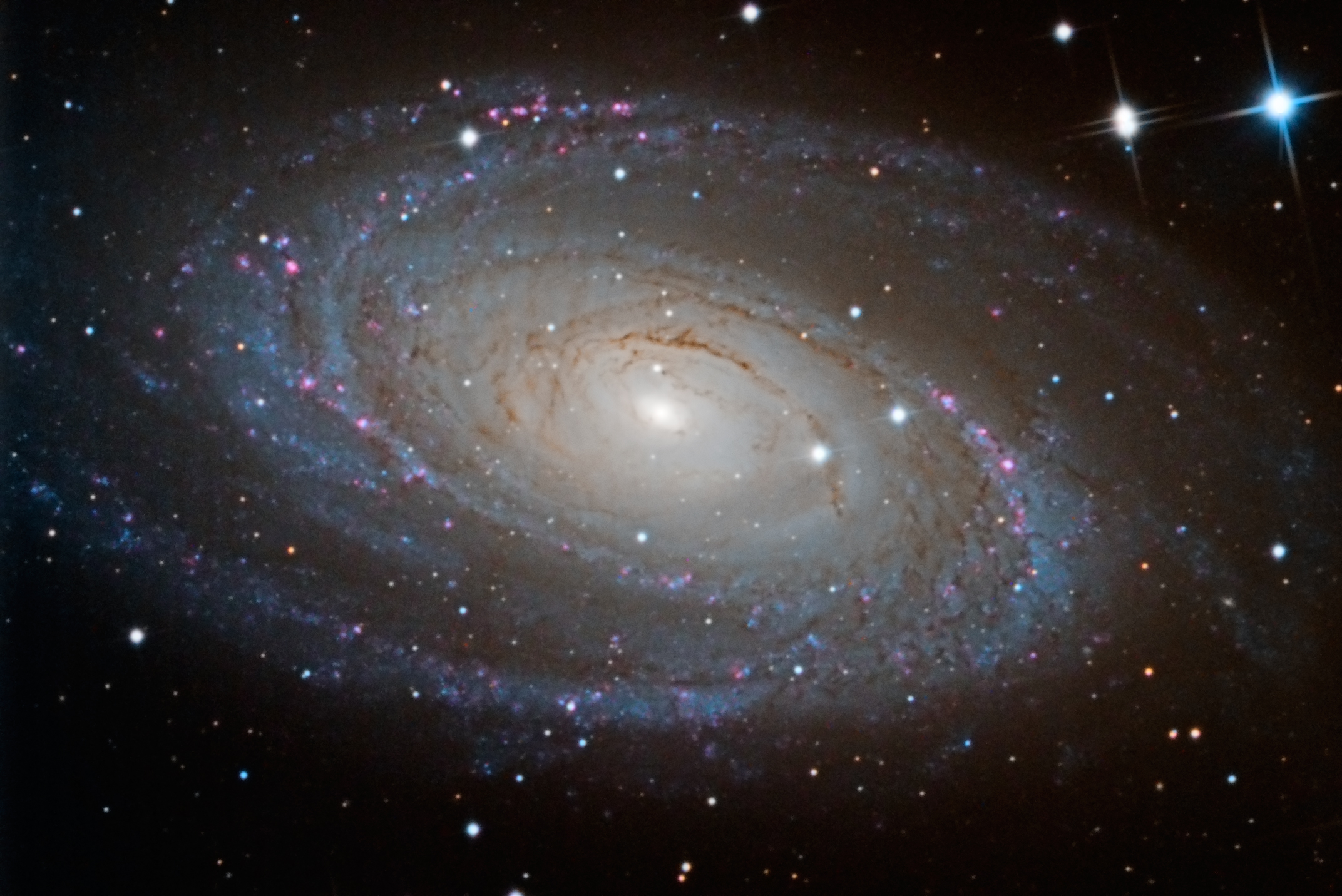 Messier 81