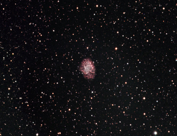 M1- The Crab Nebula
M1 -- The Crab Nebula. Supernova remnant in Taurus, January 7, 2005, Maxim DL, Photoshop, HaR included as luminance.  This object clearly needs longer focal length.  It is too small at 545mm/f5

