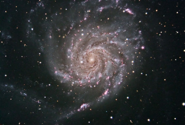 M101 -- The Pinwheel Galaxy
M101 / NGC 5457, the Pinwheel Galaxy, a spiral galaxy in Ursa Major.  Data acquired and reduced in Maxim DL, aligned and stacked in CCDStack 2, processed in PixInsight, and finished in Photoshop.  There is some optical aberration, I think from the focal reducer, that distorts the stars, particularly at the top of the frame.
