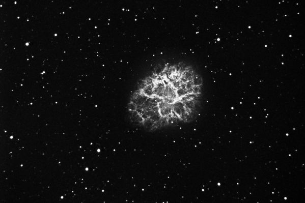 Crab in Ha
The Crab Nebula, Messier 1, in hydrogen alpha (Ha).  Captured in Maxim DL, reduced, registered, and stacked in CCDStack, processed in PixInsight, minor touch up in Photoshop.
