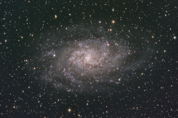 M33 Over 2 Years
M33- The Triangulum Galaxy, data captured on September 20 and 26, 2008, and September 19, 2009.  Captured and calibrated in Maxim DL.  Aligned and combined in CCDStack.  Primary processing in PixInsight with touch-up in Photoshop.
