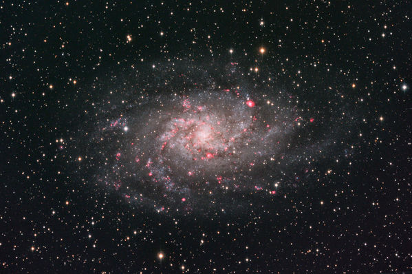 M33 with Hydrogen Alpha
M33- The Triangulum Galaxy, data captured on September 20 and 26, 2008, and September 19, 2009.  This is the same image as my earlier [url=/coppermine/displayimage.php?pos=-190]M33 Over Two Years[/url] but has had 90 minutes of Hydrogen Alpha added to the red in the image. Captured and calibrated in Maxim DL. Aligned and combined in CCDStack. Primary processing in PixInsight with touch-up in Photoshop. 
