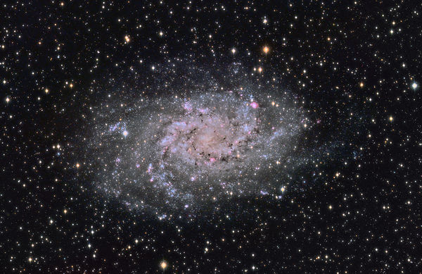 M33 -- Triangulum Galaxy V02
[url=http://www.seds.org/Messier/m/m033.html]M33 -- The Triangulum Galaxy[/url] or Pinwheel Galaxy, a spiral galaxy in Triangulum.  LRGB image captured on two nights, reduced in Maxim DL 5, aligned and combined in CCDStack, RGB combined in CCDStack, processed and LRGB combined in PixInsight, final color correction in Photoshop CS2.  This is a revised processing of the data.
