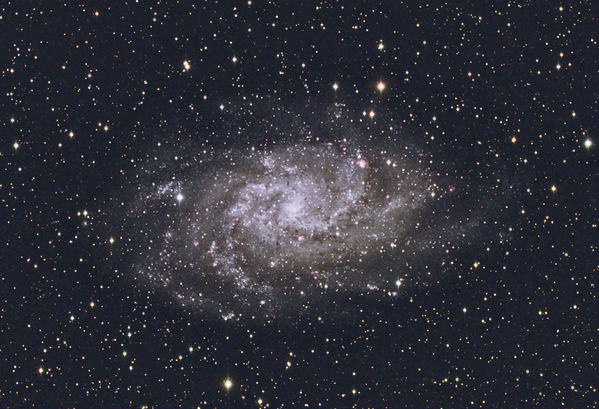 M33 -- Triangulum Galaxy
[url=http://www.seds.org/Messier/m/m033.html]M33 -- The Triangulum Galaxy[/url] or Pinwheel Galaxy, a spiral galaxy in Triangulum.  LRGB image captured on two nights, reduced in Maxim DL 5, aligned and combined in CCDStack, processed and LRGB combined in PixInsight, final color correction in Photoshop CS2.

