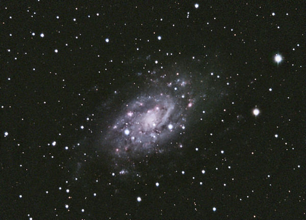 NGC 2403 -- Spiral Galaxy in Camelopardalis v2
NGC 2403 -- Spiral Galaxy in Camelopardalis. Image reduction in MaximDL, alignment, sigma clip, and stacking (mean) in CCDStack, color combine and balancing in PixInsight, gradient removal in Photoshop.  This is a revised processing of this data.  The [url=/coppermine/displayimage.php?pos=-46]original processing[/url] really did not work well.  This is marginally better.  The underlying problem is with the data.
