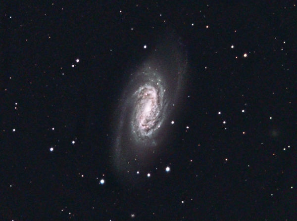 NGC 2903 -- Spiral Galaxy in Leo
NGC 2903 -- Spiral Galaxy in Leo, darks, flats, and bloom removal in Maxim DL; alignment, sigma reject, and combination in CCDStack; gradient removal (1), wavelet enhancement, color combine,  and color adjust in PixInsight; gradient removal (2), high-pass enhancement, color adjust in Photoshop; noise reduction in PixInsight
