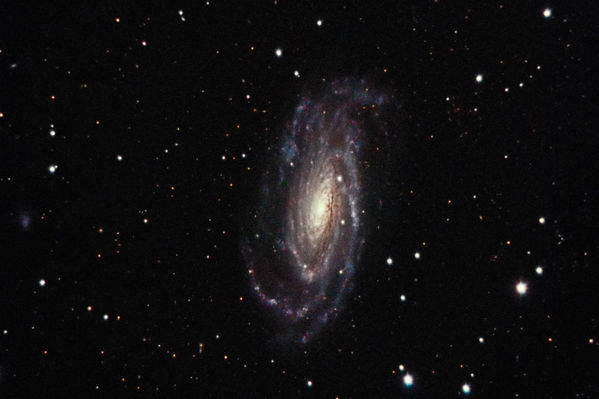 NGC 5033
NGC 5033 -- Spiral Galaxy in Canes Venatici.  Captured with CCDCommander and Maxim DL, reduced and combined in CCDStack, processed in PixInsight, and finished in Photoshop.  This dim object (mag 10.8) really needs more exposure time than I have.
