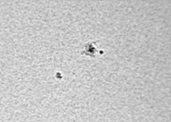 Sunspot 987
Sunspot 987 of cycle 23.  Taken just as clouds were coming in, with winds occasionally jostling the scope.  Processed in Registax and PixInsight.  The primary contrast adjustment/sharpening was with wavelets, and I used gaussian wavelets and a linear progression.
