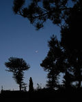 Moon-and-Venus-100515.jpg
