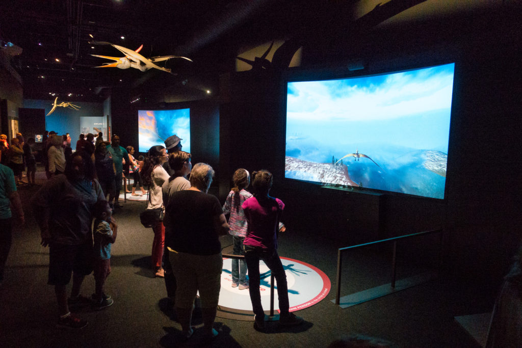 They have an interactive exhibit where you can soar like a pterosaur.