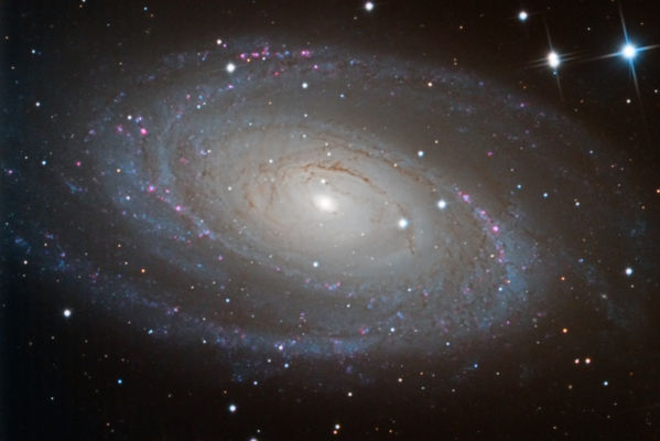 M81 -- Bode's Galaxy
M81 -- Spiral Galaxy in Ursa Major, also known as Bode's Galaxy.  First full image taken with the CDK 12.5.  Captured in MaximDL with CCDCommander, calibrated and aligned in CCDStack, processed in PixInsight, finished in Photoshop.
