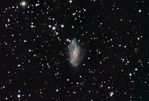 NGC2146-1011113-v110917.jpg
