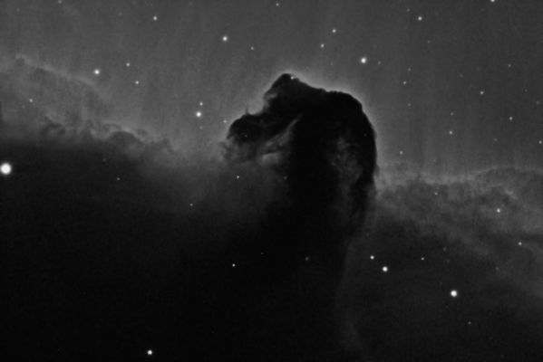 Horsehead Nebula IC434 in Ha
The Horsehead Nebula in Orion taken in hydrogen-alpha (Ha), calibrated and combined in CCDStack, processed in PixInsight, and finished in Photoshop.
