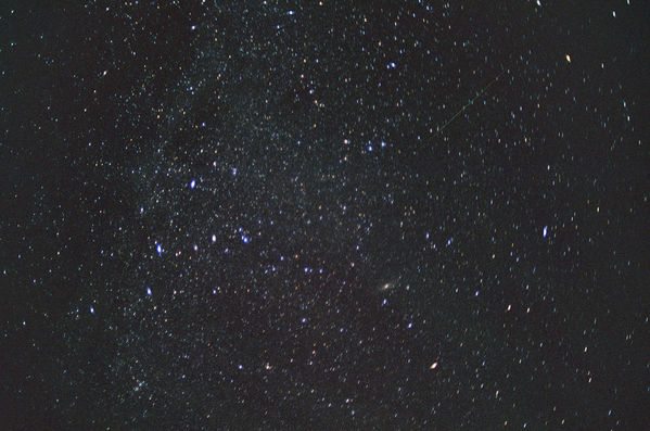 Perseid over Anza